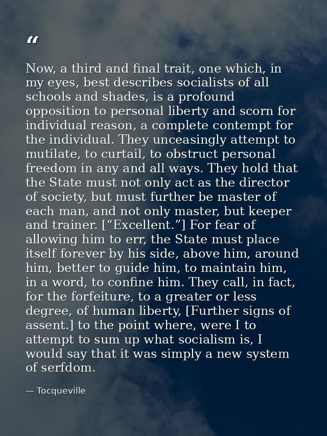 Now, a third and final trait, one which, in my eyes, best describes socialists of all schools and shades, is a profound  — Tocqueville