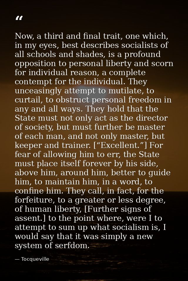 Now, a third and final trait, one which, in my eyes, best describes socialists of all schools and shades, is a profound  — Tocqueville