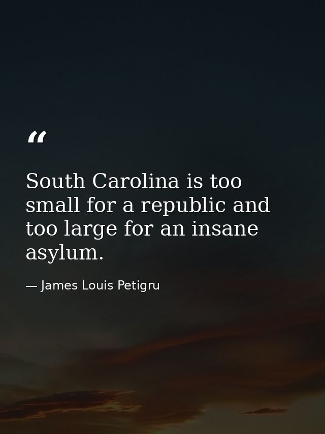 South Carolina is too small for a republic and too large for an insane asylum. — James Louis Petigru