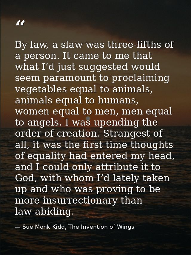 By law, a slaw was three-fifths of a person. It came to me that what I’d just suggested would seem paramount to proclaim — Sue Monk Kidd, The Invention of Wings