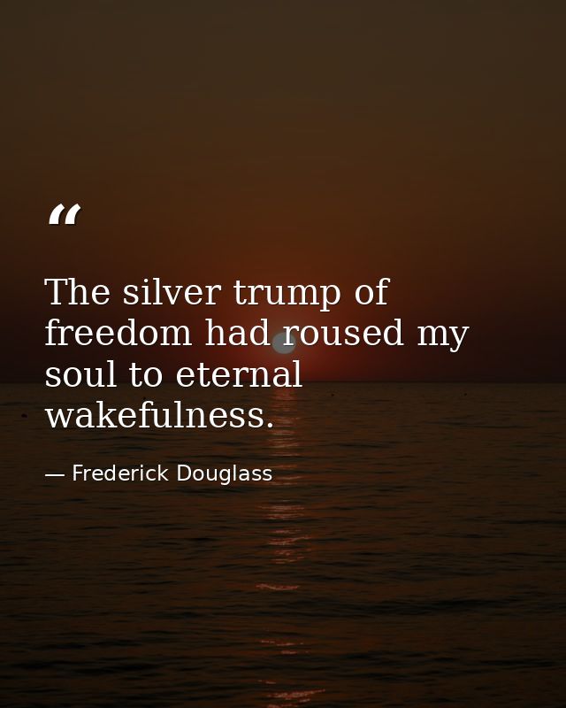 The silver trump of freedom had roused my soul to eternal wakefulness. — Frederick Douglass