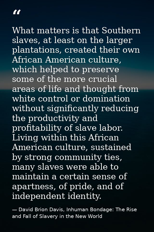 What matters is that Southern slaves, at least on the larger plantations, created their own African American culture, wh — David Brion Davis, Inhuman Bondage: The Rise and Fall of Slavery in the New World