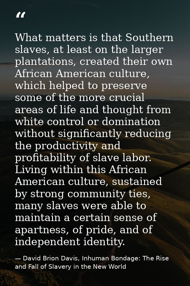 What matters is that Southern slaves, at least on the larger plantations, created their own African American culture, wh — David Brion Davis, Inhuman Bondage: The Rise and Fall of Slavery in the New World