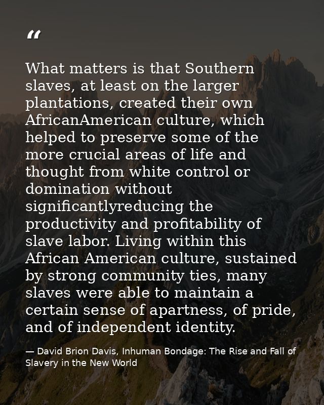 What matters is that Southern slaves, at least on the larger plantations, created their own AfricanAmerican culture, whi — David Brion Davis, Inhuman Bondage: The Rise and Fall of Slavery in the New World