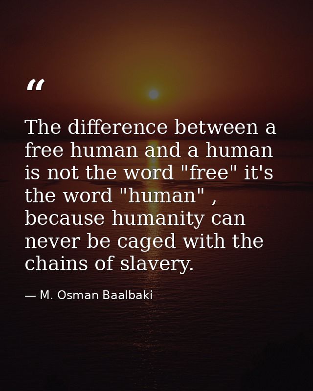 The difference between a free human and a human is not the word "free" it's the word "human" , because humanity can neve — M. Osman Baalbaki