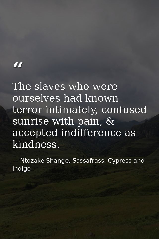 The slaves who were ourselves had known terror intimately, confused sunrise with pain, & accepted indifference as kindne — Ntozake Shange, Sassafrass, Cypress and Indigo