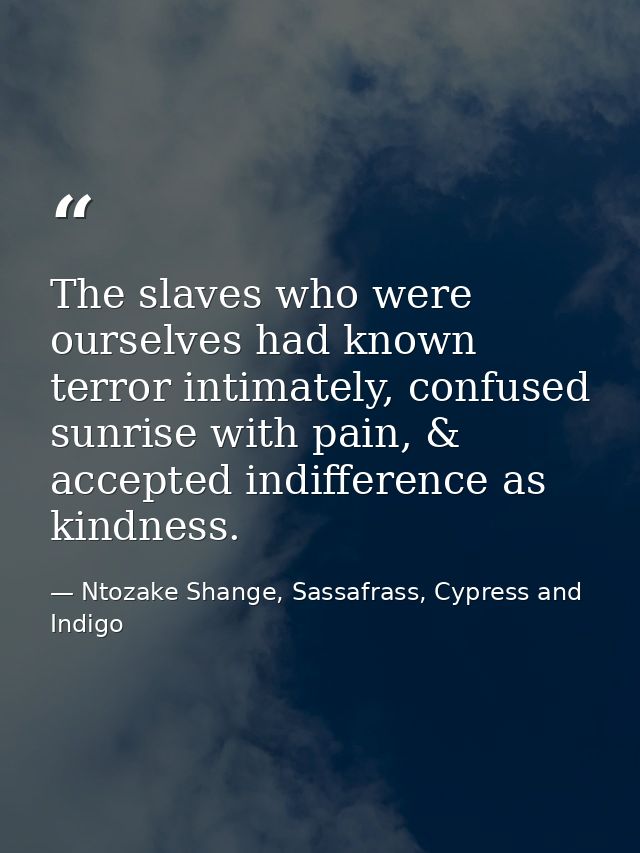 The slaves who were ourselves had known terror intimately, confused sunrise with pain, & accepted indifference as kindne — Ntozake Shange, Sassafrass, Cypress and Indigo
