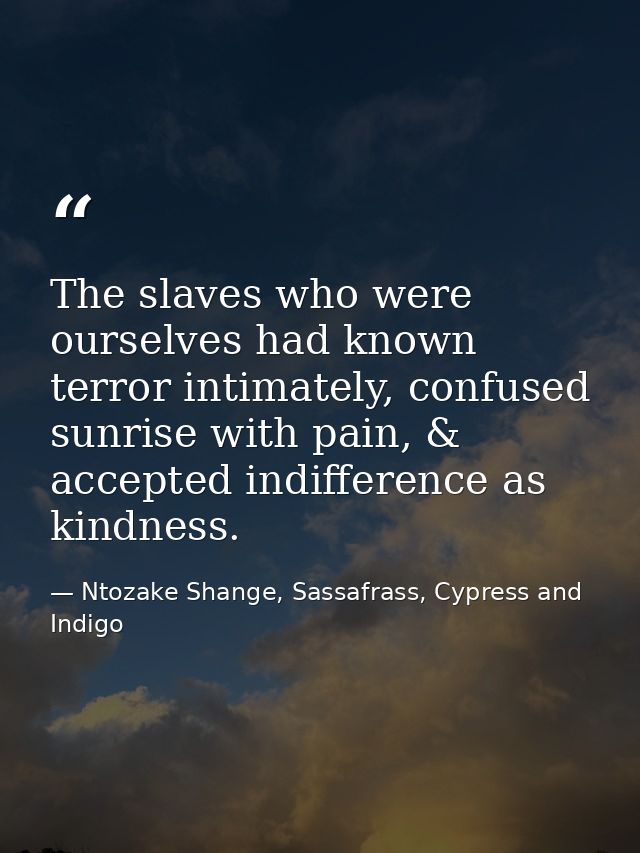 The slaves who were ourselves had known terror intimately, confused sunrise with pain, & accepted indifference as kindne — Ntozake Shange, Sassafrass, Cypress and Indigo