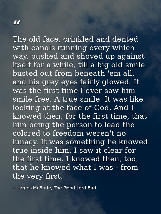 The old face, crinkled and dented with canals running every which way, pushed and shoved up against itself for a while,  — James McBride, The Good Lord Bird