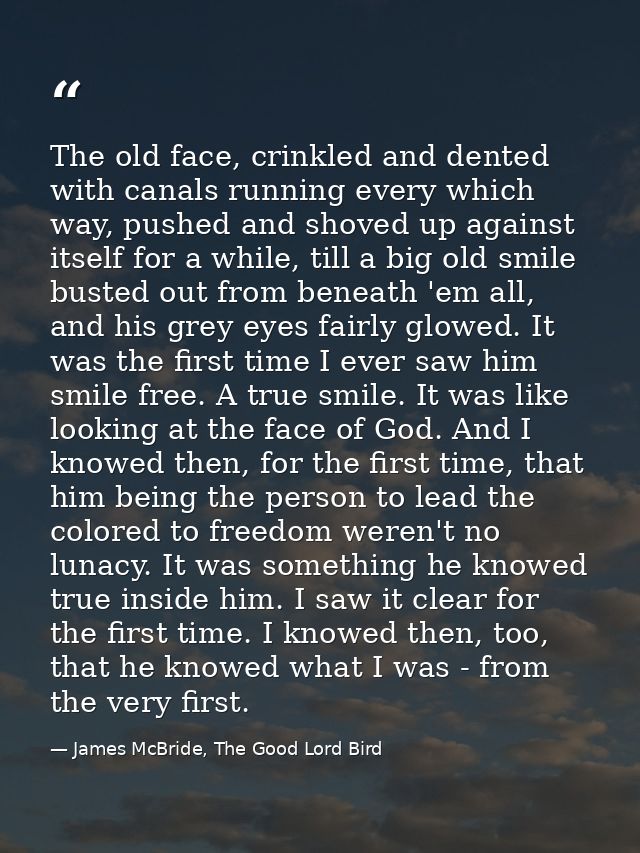 The old face, crinkled and dented with canals running every which way, pushed and shoved up against itself for a while,  — James McBride, The Good Lord Bird