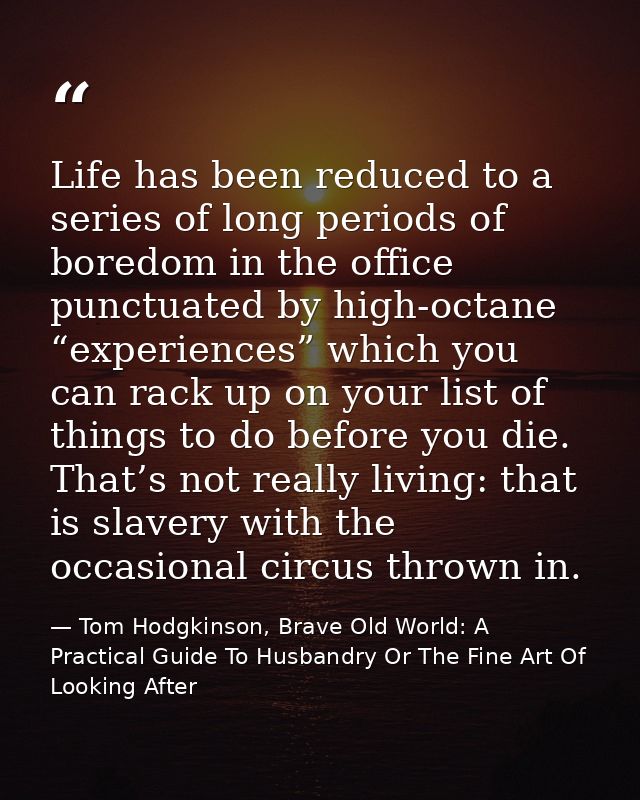 Life has been reduced to a series of long periods of boredom in the office punctuated by high-octane “experiences” which — Tom Hodgkinson, Brave Old World: A Practical Guide To Husbandry Or The Fine Art Of Looking After