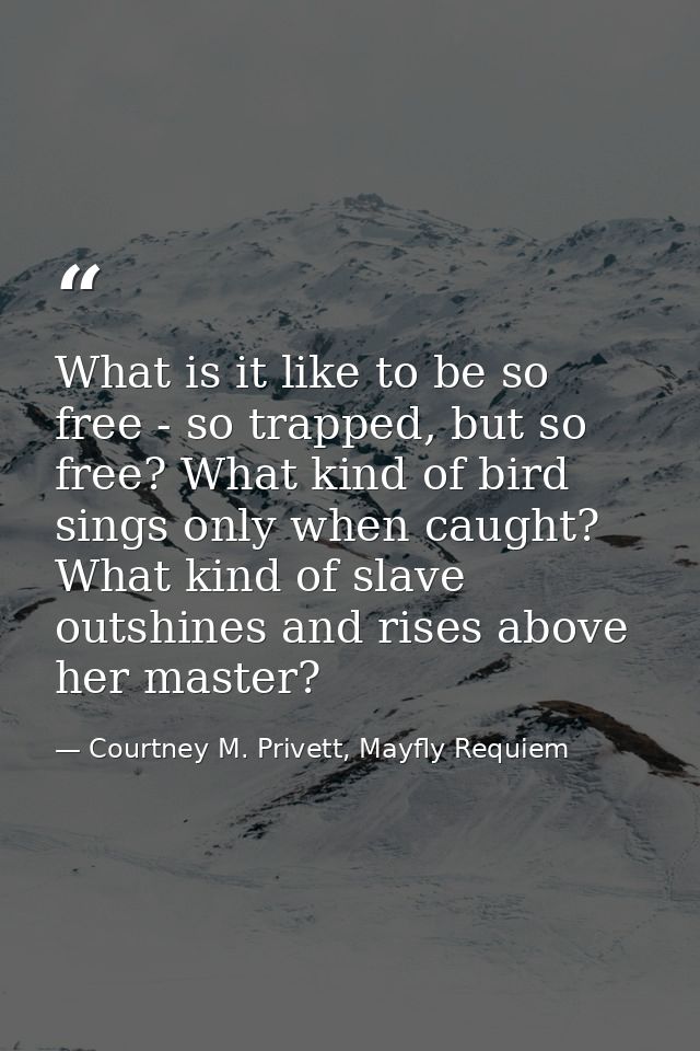 What is it like to be so free - so trapped, but so free? What kind of bird sings only when caught? What kind of slave ou — Courtney M. Privett, Mayfly Requiem