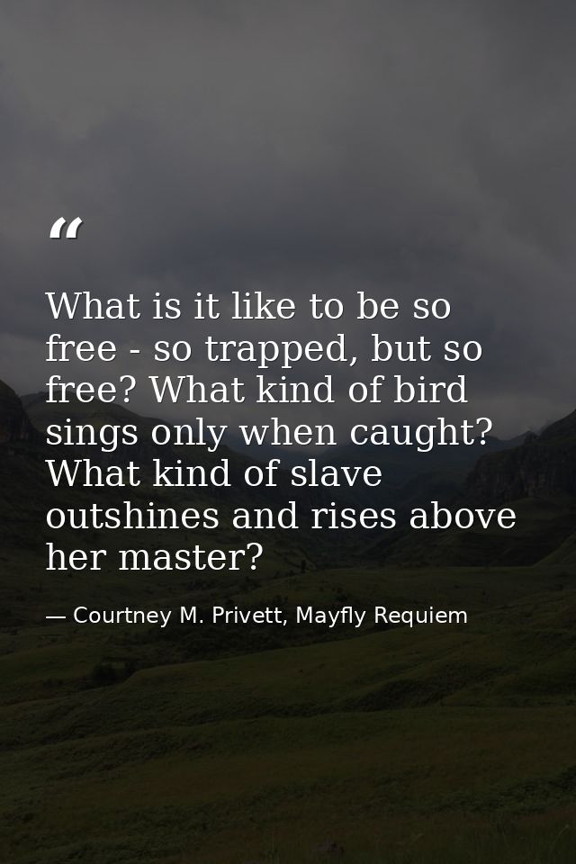 What is it like to be so free - so trapped, but so free? What kind of bird sings only when caught? What kind of slave ou — Courtney M. Privett, Mayfly Requiem