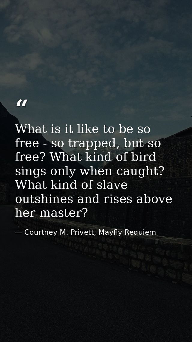 What is it like to be so free - so trapped, but so free? What kind of bird sings only when caught? What kind of slave ou — Courtney M. Privett, Mayfly Requiem