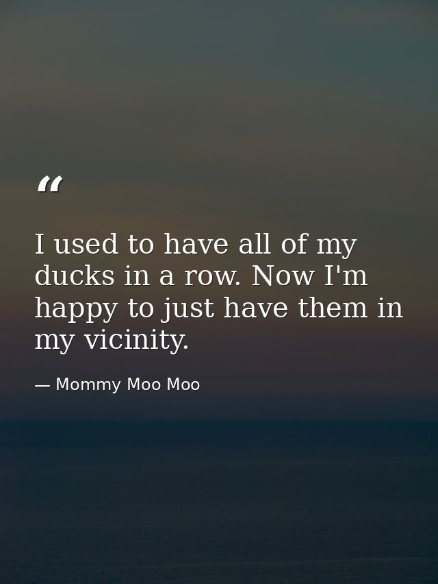 I used to have all of my ducks in a row. Now I'm happy to just have them in my vicinity. — Mommy Moo Moo