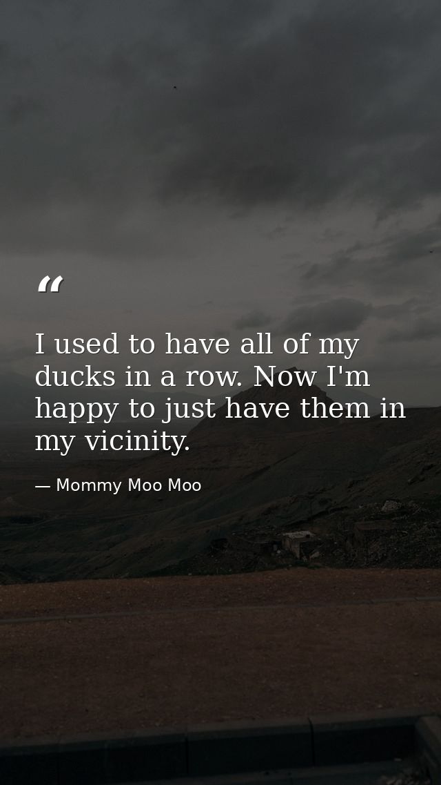 I used to have all of my ducks in a row. Now I'm happy to just have them in my vicinity. — Mommy Moo Moo