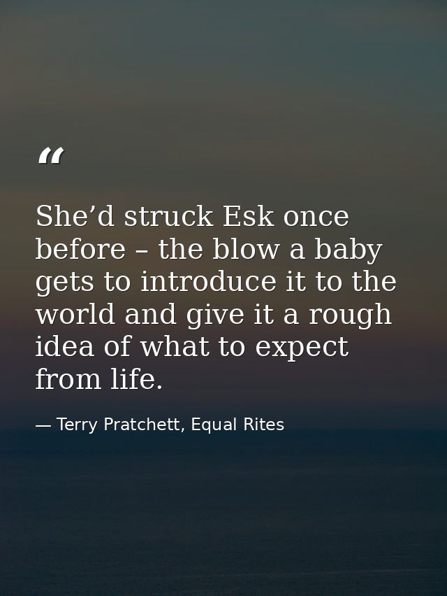 She’d struck Esk once before – the blow a baby gets to introduce it to the world and give it a rough idea of what to exp — Terry Pratchett, Equal Rites