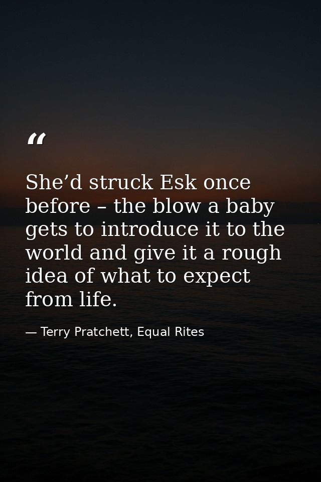 She’d struck Esk once before – the blow a baby gets to introduce it to the world and give it a rough idea of what to exp — Terry Pratchett, Equal Rites