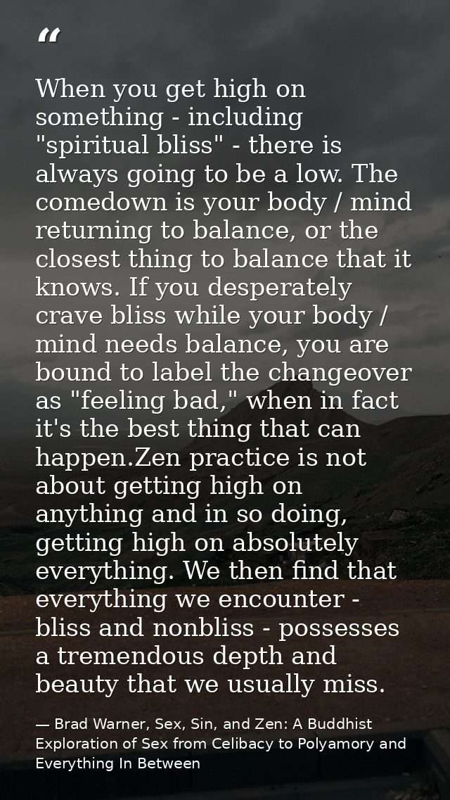 When you get high on something - including "spiritual bliss" - there is always going to be a low. The comedown is your b — Brad Warner, Sex, Sin, and Zen: A Buddhist  Exploration of Sex from Celibacy to Polyamory and Everything In Between