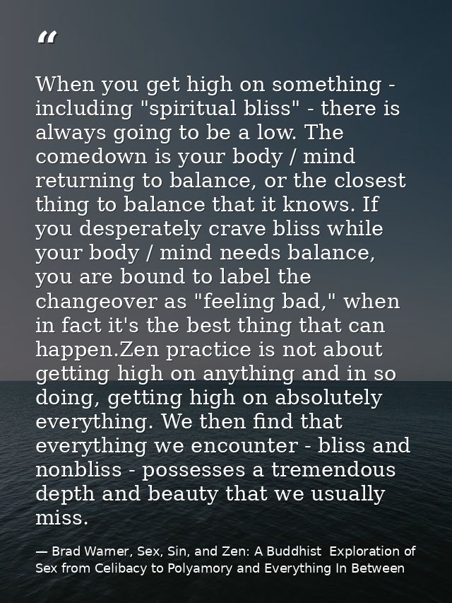 When you get high on something - including "spiritual bliss" - there is always going to be a low. The comedown is your b — Brad Warner, Sex, Sin, and Zen: A Buddhist  Exploration of Sex from Celibacy to Polyamory and Everything In Between