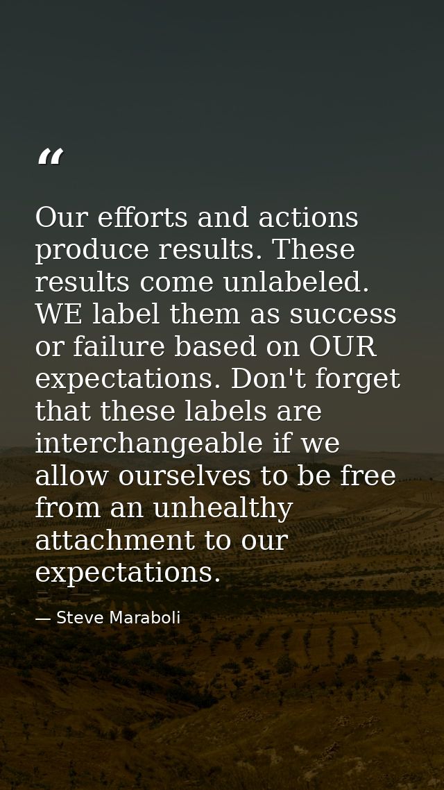 Our efforts and actions produce results. These results come unlabeled. WE label them as success or failure based on OUR  — Steve Maraboli