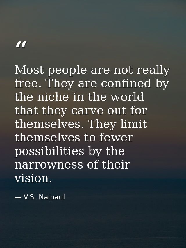 Most people are not really free. They are confined by the niche in the world that they carve out for themselves. They li — V.S. Naipaul