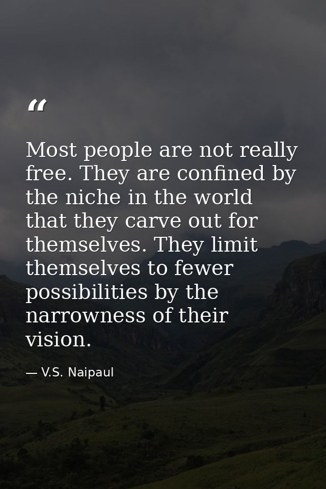 Most people are not really free. They are confined by the niche in the world that they carve out for themselves. They li — V.S. Naipaul