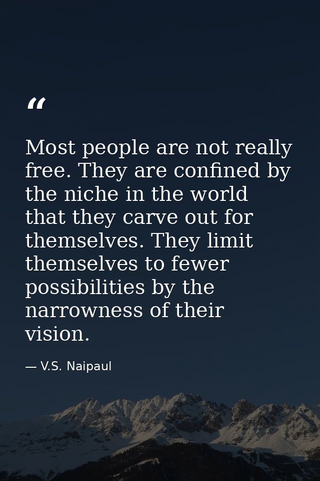Most people are not really free. They are confined by the niche in the world that they carve out for themselves. They li — V.S. Naipaul