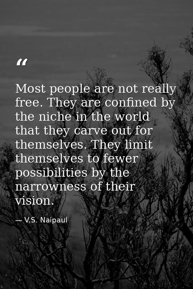 Most people are not really free. They are confined by the niche in the world that they carve out for themselves. They li — V.S. Naipaul