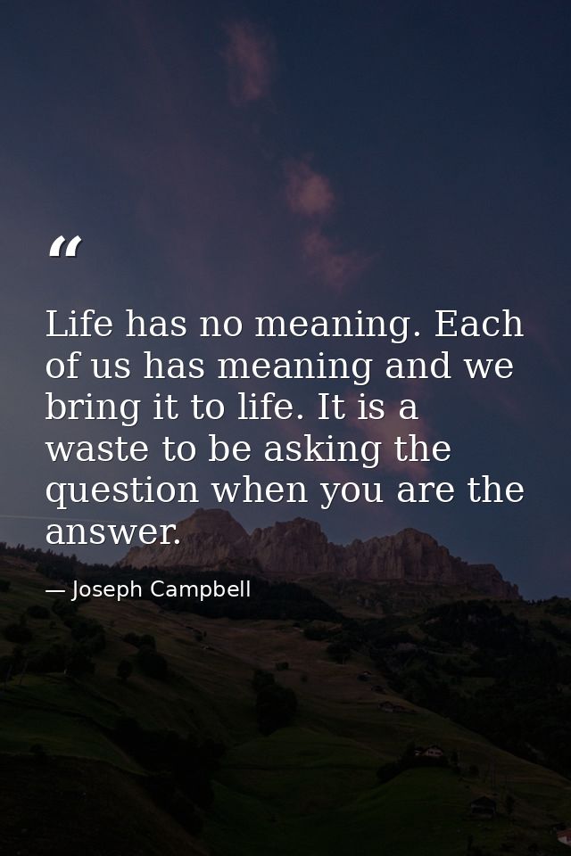 Life has no meaning. Each of us has meaning and we bring it to life. It is a waste to be asking the question when you ar — Joseph Campbell