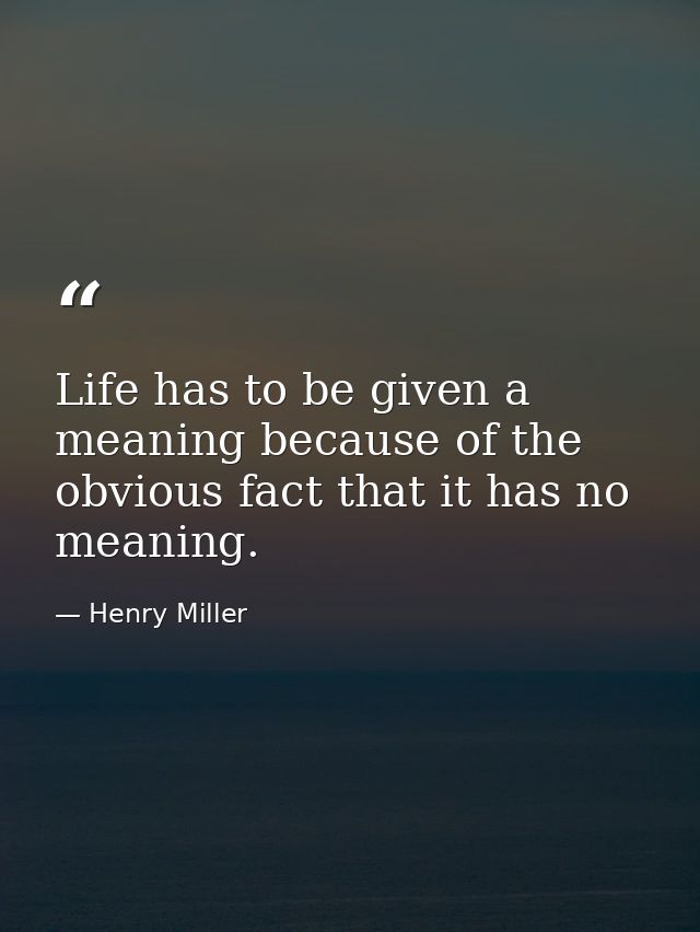 Life has to be given a meaning because of the obvious fact that it has no meaning. — Henry Miller