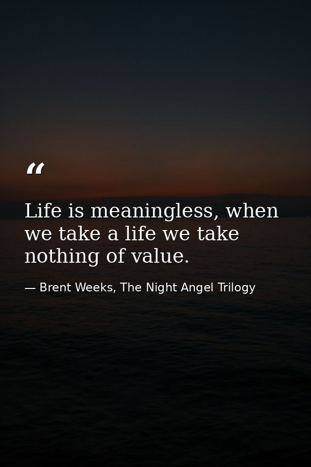 Life is meaningless, when we take a life we take nothing of value. — Brent Weeks, The Night Angel Trilogy