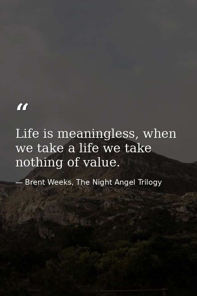 Life is meaningless, when we take a life we take nothing of value. — Brent Weeks, The Night Angel Trilogy
