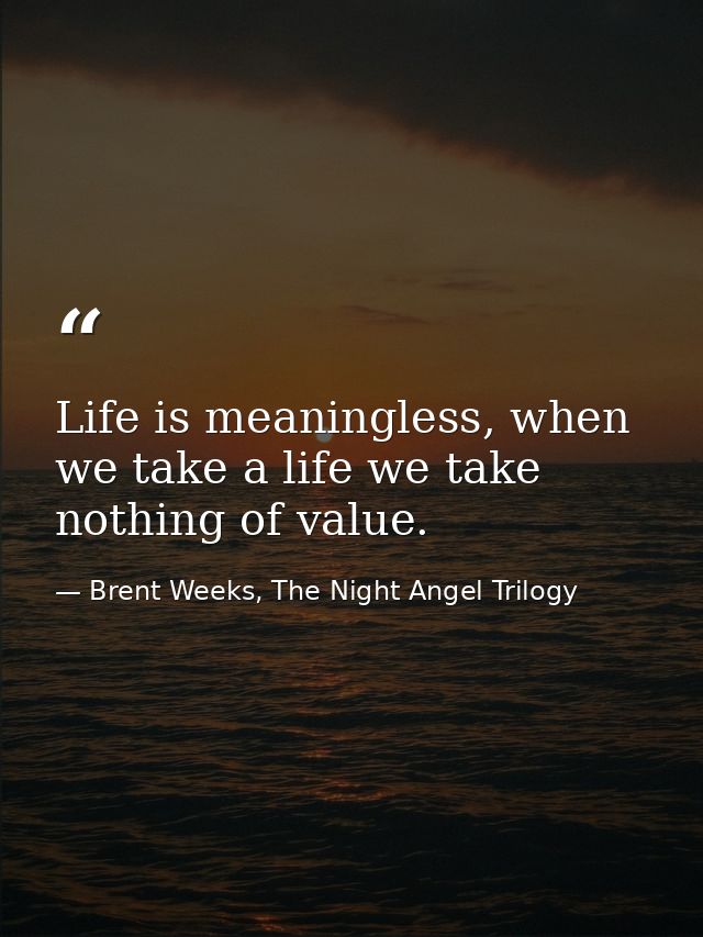 Life is meaningless, when we take a life we take nothing of value. — Brent Weeks, The Night Angel Trilogy