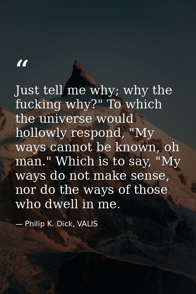Just tell me why; why the fucking why?" To which the universe would hollowly respond, "My ways cannot be known, oh man." — Philip K. Dick, VALIS