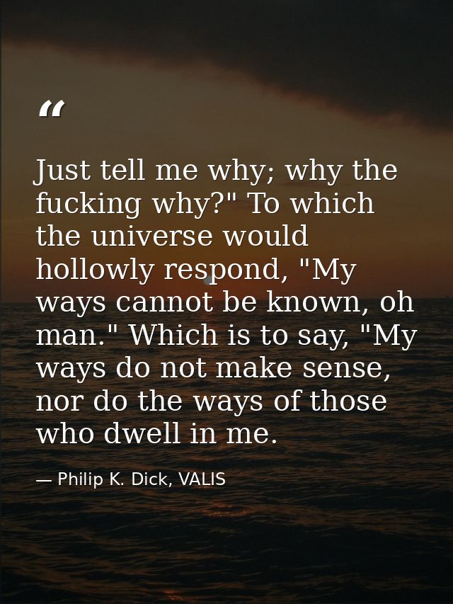 Just tell me why; why the fucking why?" To which the universe would hollowly respond, "My ways cannot be known, oh man." — Philip K. Dick, VALIS