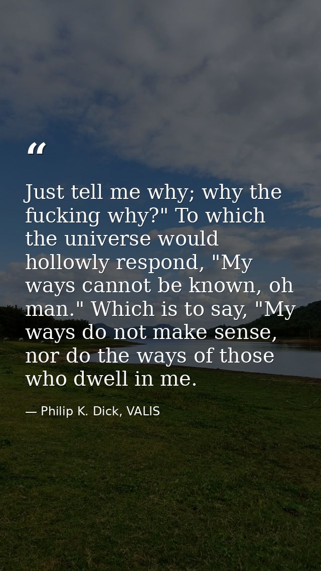 Just tell me why; why the fucking why?" To which the universe would hollowly respond, "My ways cannot be known, oh man." — Philip K. Dick, VALIS