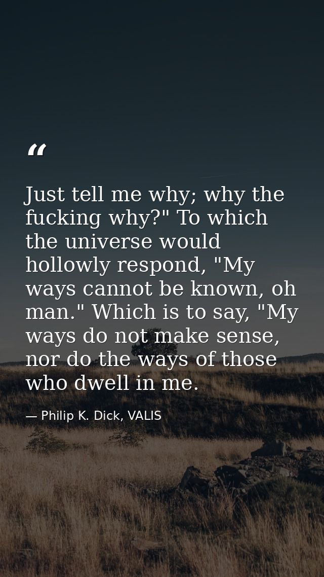 Just tell me why; why the fucking why?" To which the universe would hollowly respond, "My ways cannot be known, oh man." — Philip K. Dick, VALIS