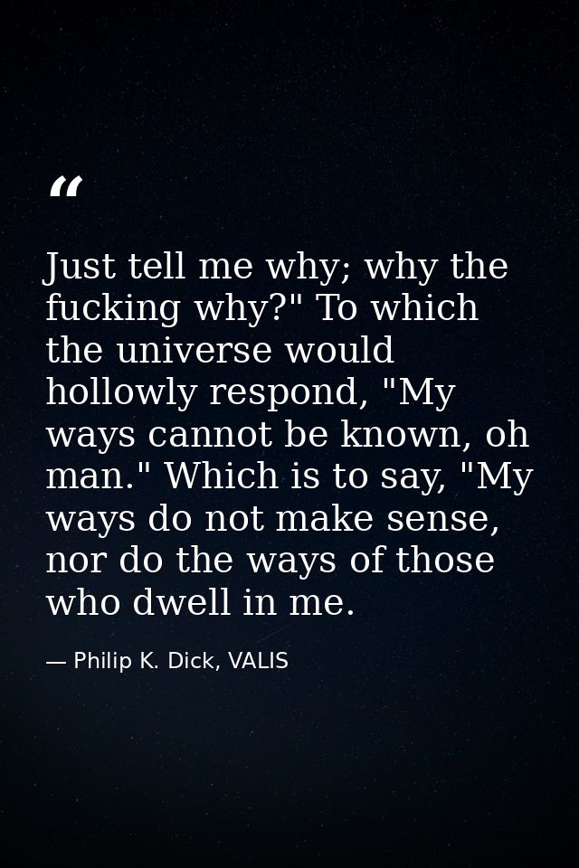 Just tell me why; why the fucking why?" To which the universe would hollowly respond, "My ways cannot be known, oh man." — Philip K. Dick, VALIS