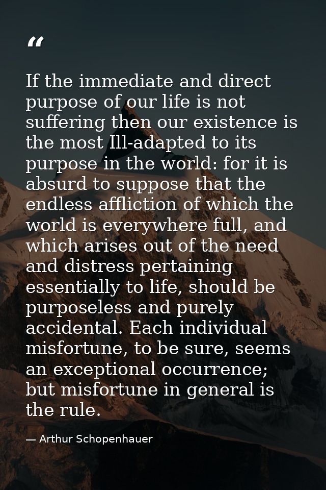If the immediate and direct purpose of our life is not suffering then our existence is the most Ill-adapted to its purpo — Arthur Schopenhauer