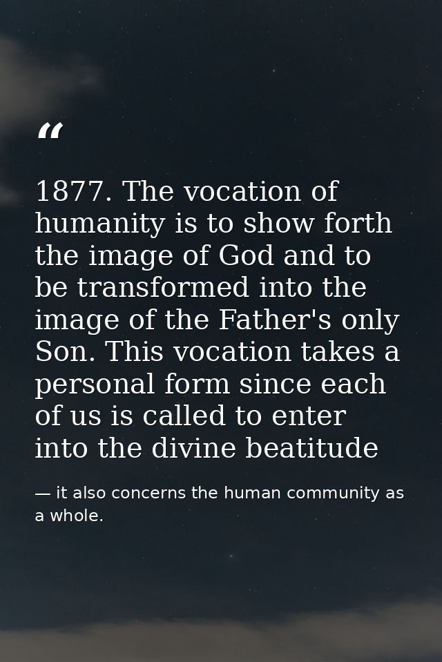 1877. The vocation of humanity is to show forth the image of God and to be transformed into the image of the Father's on — it also concerns the human community as a whole.