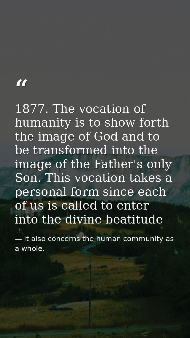 1877. The vocation of humanity is to show forth the image of God and to be transformed into the image of the Father's on — it also concerns the human community as a whole.