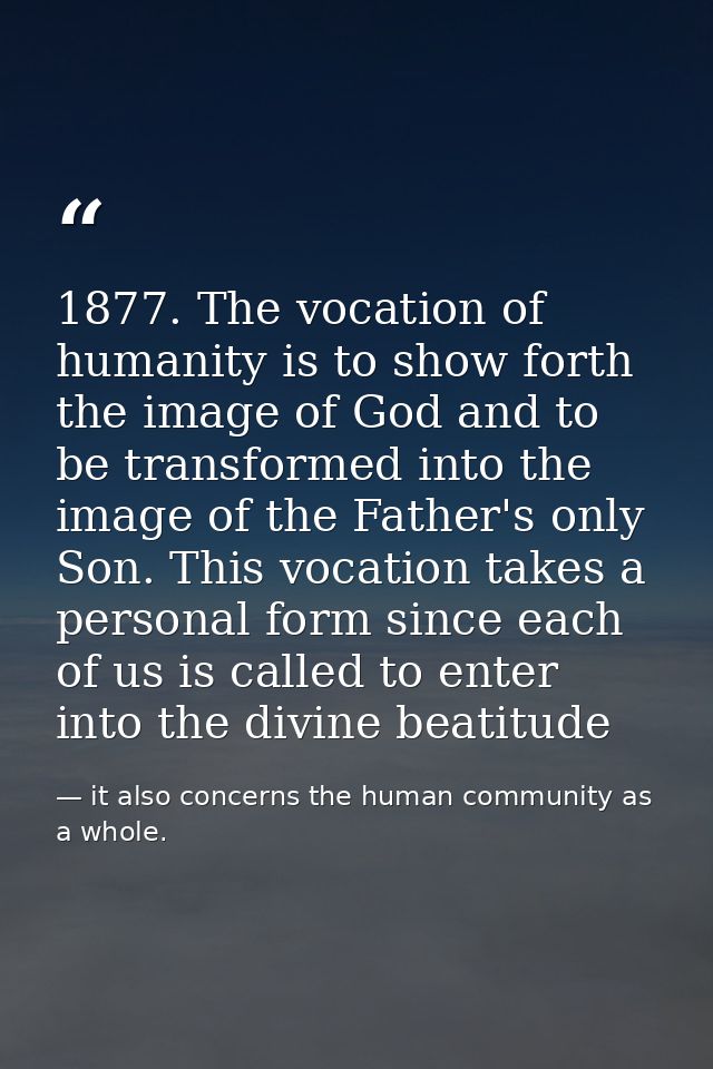 1877. The vocation of humanity is to show forth the image of God and to be transformed into the image of the Father's on — it also concerns the human community as a whole.
