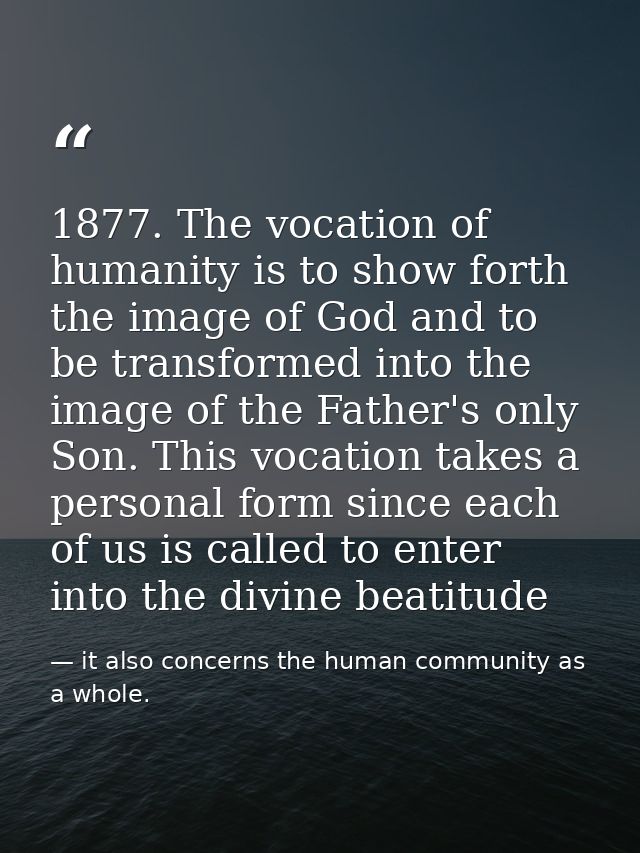1877. The vocation of humanity is to show forth the image of God and to be transformed into the image of the Father's on — it also concerns the human community as a whole.