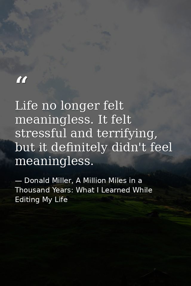 Life no longer felt meaningless. It felt stressful and terrifying, but it definitely didn't feel meaningless. — Donald Miller, A Million Miles in a Thousand Years: What I Learned While Editing My Life