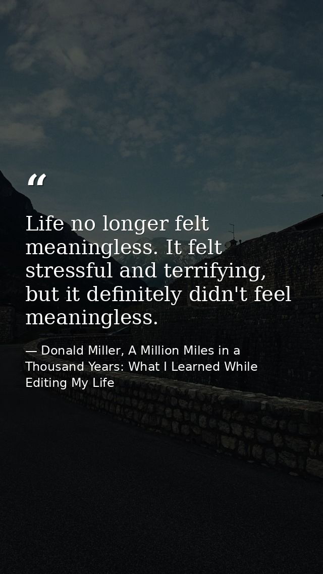 Life no longer felt meaningless. It felt stressful and terrifying, but it definitely didn't feel meaningless. — Donald Miller, A Million Miles in a Thousand Years: What I Learned While Editing My Life