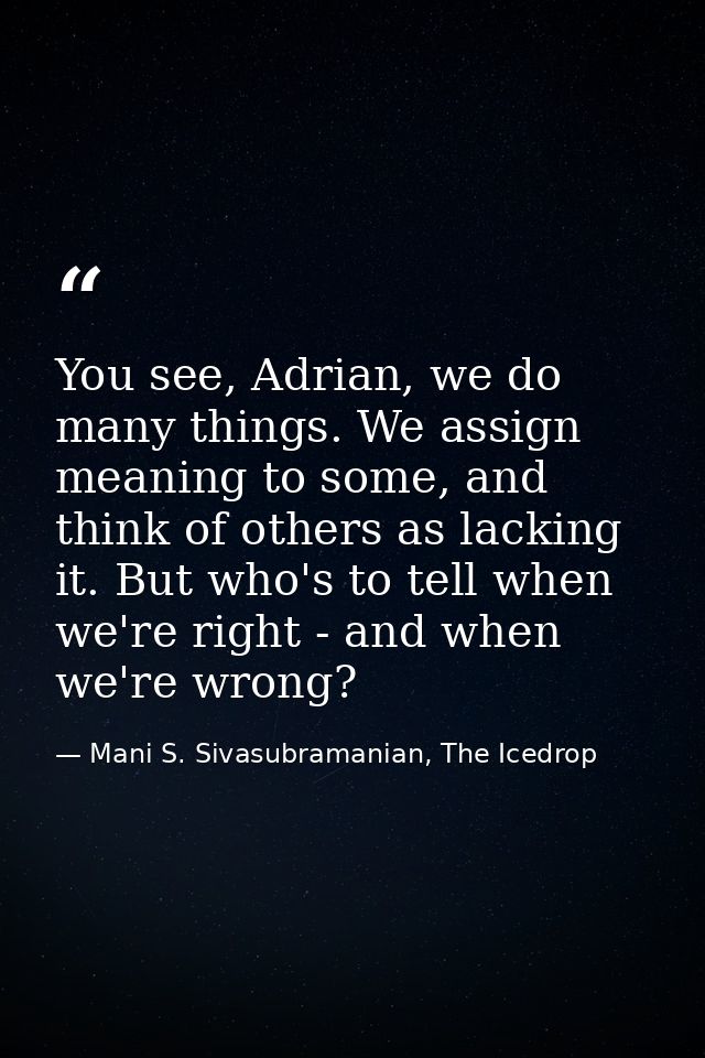 You see, Adrian, we do many things. We assign meaning to some, and think of others as lacking it. But who's to tell when — Mani S. Sivasubramanian, The Icedrop