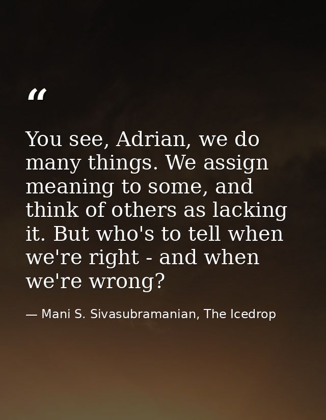 You see, Adrian, we do many things. We assign meaning to some, and think of others as lacking it. But who's to tell when — Mani S. Sivasubramanian, The Icedrop