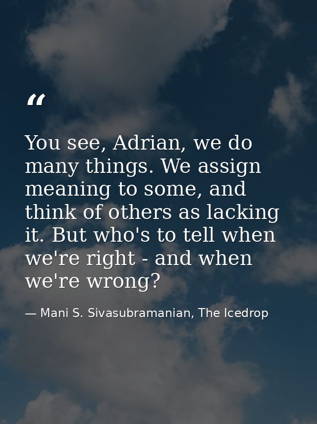 You see, Adrian, we do many things. We assign meaning to some, and think of others as lacking it. But who's to tell when — Mani S. Sivasubramanian, The Icedrop