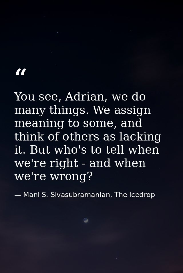You see, Adrian, we do many things. We assign meaning to some, and think of others as lacking it. But who's to tell when — Mani S. Sivasubramanian, The Icedrop